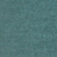 P_958600997C