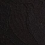 P_832729101C