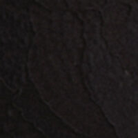 P_832729101C
