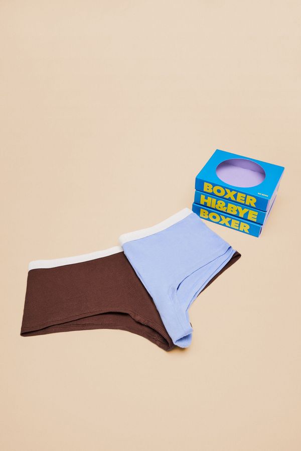 Pack 2 panties culotte algodón café y lila