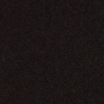P_667833101C