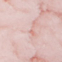 P_499802871C