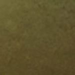 P_402814594C