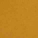P_421873107C