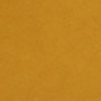 P_421873107C