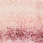 P_441625471C