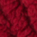 P_441892261C