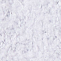 P_361872512C