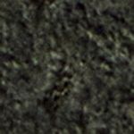 P_499967491C