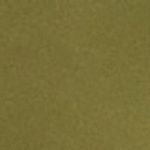 P_484921691C