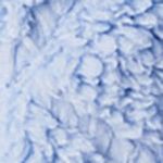 P_441906216C