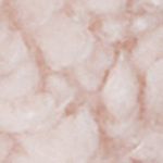 P_499968171C