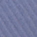 P_510900117C