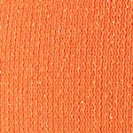 P_648982564C