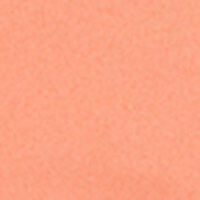 P_484927564C