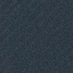P_510200311C
