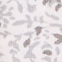 P_493264498C