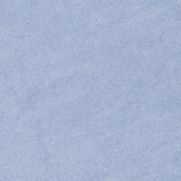 P_313212919C